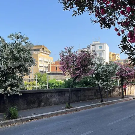 Colorato * Nettuno